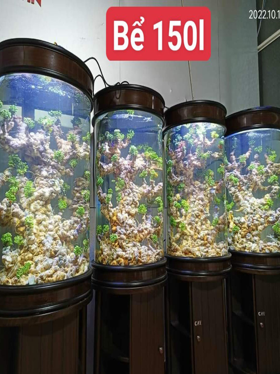 Rượu Sâm Ngọc Linh 150L